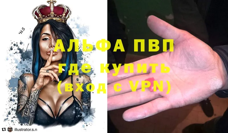 где купить наркоту  Почеп  Alfa_PVP Соль 